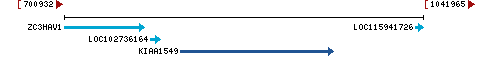 Genomic Context describing neighboring genes