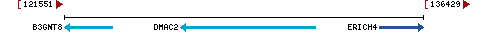 Genomic Context describing neighboring genes