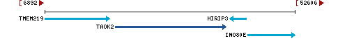 Genomic Context describing neighboring genes