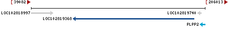 Genomic Context describing neighboring genes