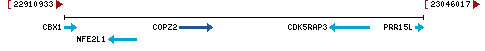 Genomic Context describing neighboring genes