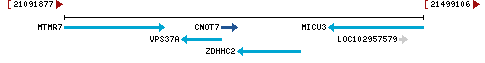 Genomic Context describing neighboring genes