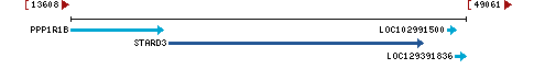 Genomic Context describing neighboring genes