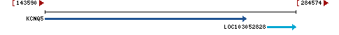 Genomic Context describing neighboring genes