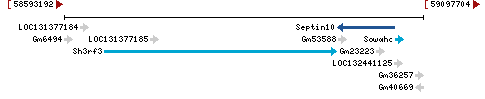 Genomic Context describing neighboring genes