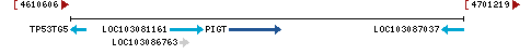 Genomic Context describing neighboring genes