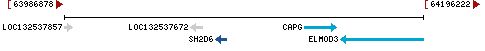 Genomic Context describing neighboring genes