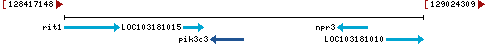 Genomic Context describing neighboring genes