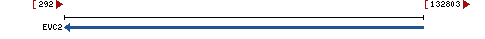 Genomic Context describing neighboring genes