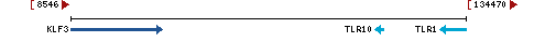 Genomic Context describing neighboring genes