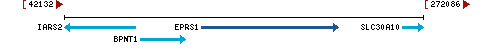 Genomic Context describing neighboring genes