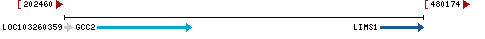 Genomic Context describing neighboring genes