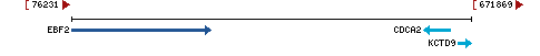 Genomic Context describing neighboring genes