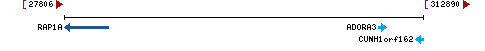 Genomic Context describing neighboring genes