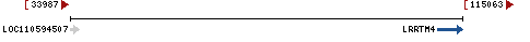 Genomic Context describing neighboring genes