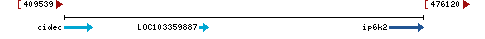 Genomic Context describing neighboring genes