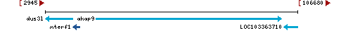 Genomic Context describing neighboring genes