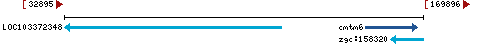 Genomic Context describing neighboring genes