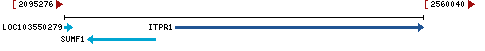 Genomic Context describing neighboring genes