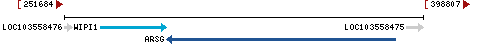 Genomic Context describing neighboring genes