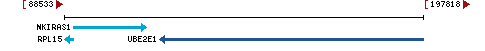 Genomic Context describing neighboring genes