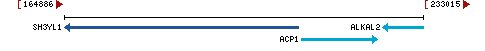 Genomic Context describing neighboring genes