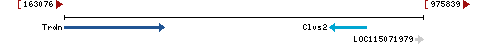 Genomic Context describing neighboring genes