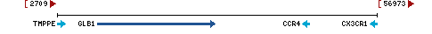 Genomic Context describing neighboring genes