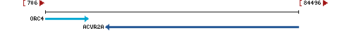 Genomic Context describing neighboring genes