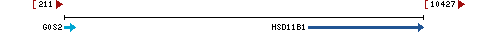 Genomic Context describing neighboring genes