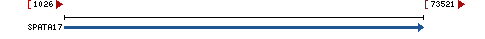 Genomic Context describing neighboring genes