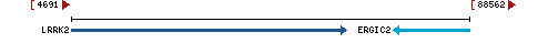 Genomic Context describing neighboring genes