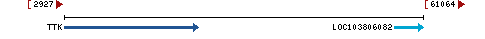 Genomic Context describing neighboring genes