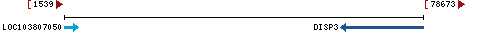 Genomic Context describing neighboring genes