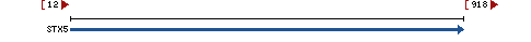 Genomic Context describing neighboring genes