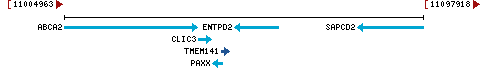 Genomic Context describing neighboring genes