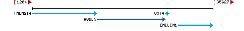 Genomic Context describing neighboring genes