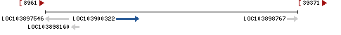 Genomic Context describing neighboring genes