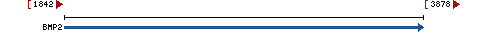 Genomic Context describing neighboring genes