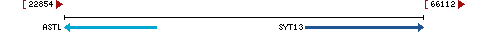 Genomic Context describing neighboring genes