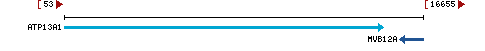 Genomic Context describing neighboring genes