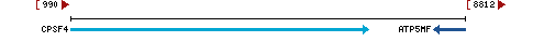 Genomic Context describing neighboring genes