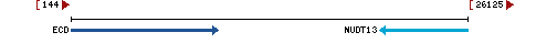 Genomic Context describing neighboring genes