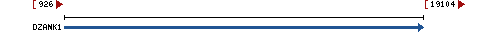 Genomic Context describing neighboring genes