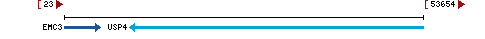 Genomic Context describing neighboring genes