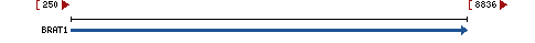 Genomic Context describing neighboring genes