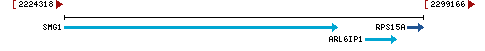 Genomic Context describing neighboring genes