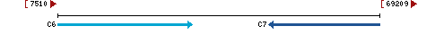 Genomic Context describing neighboring genes