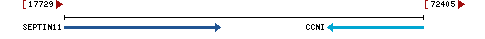 Genomic Context describing neighboring genes