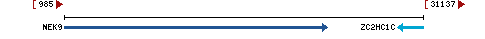 Genomic Context describing neighboring genes